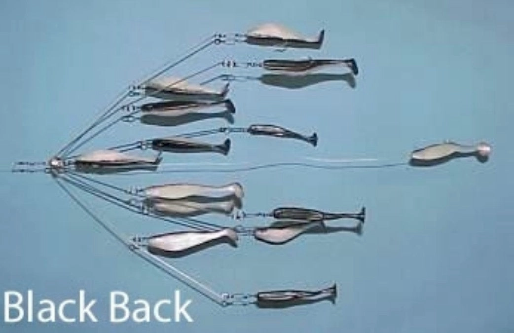 9er's New England 6" Shad Umbrella Rigs