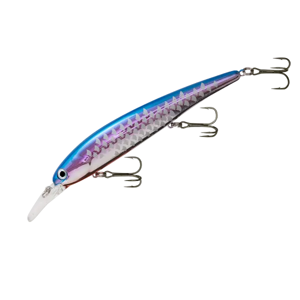 Bandit Walleye Shallow