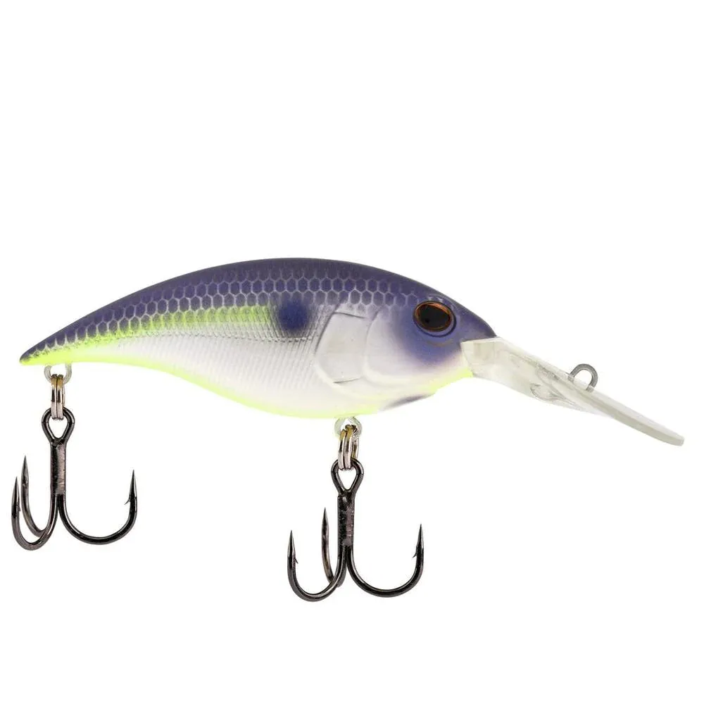 Berkley Money Badger
