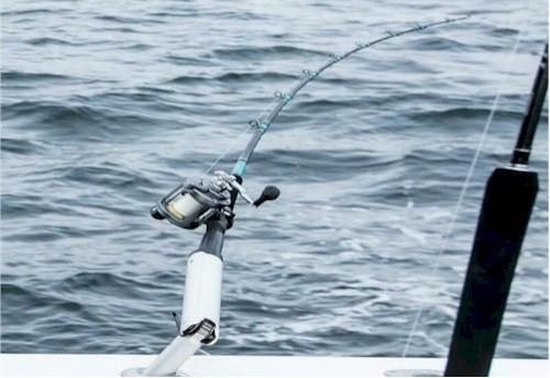 Daiwa Seagate 8'00" Wireline Trolling Rod