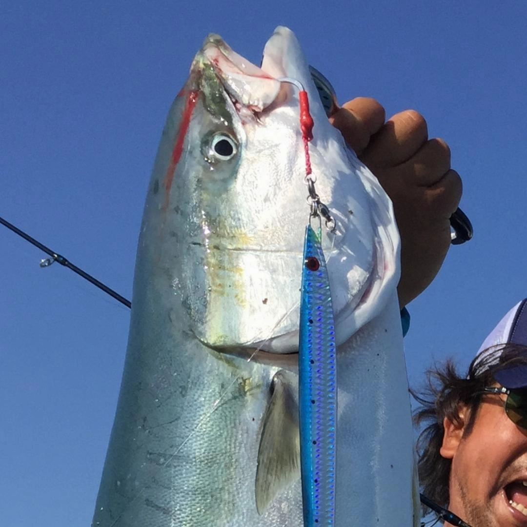 DECOY ASSIST HOOKS  DJ-100 Grand Pike