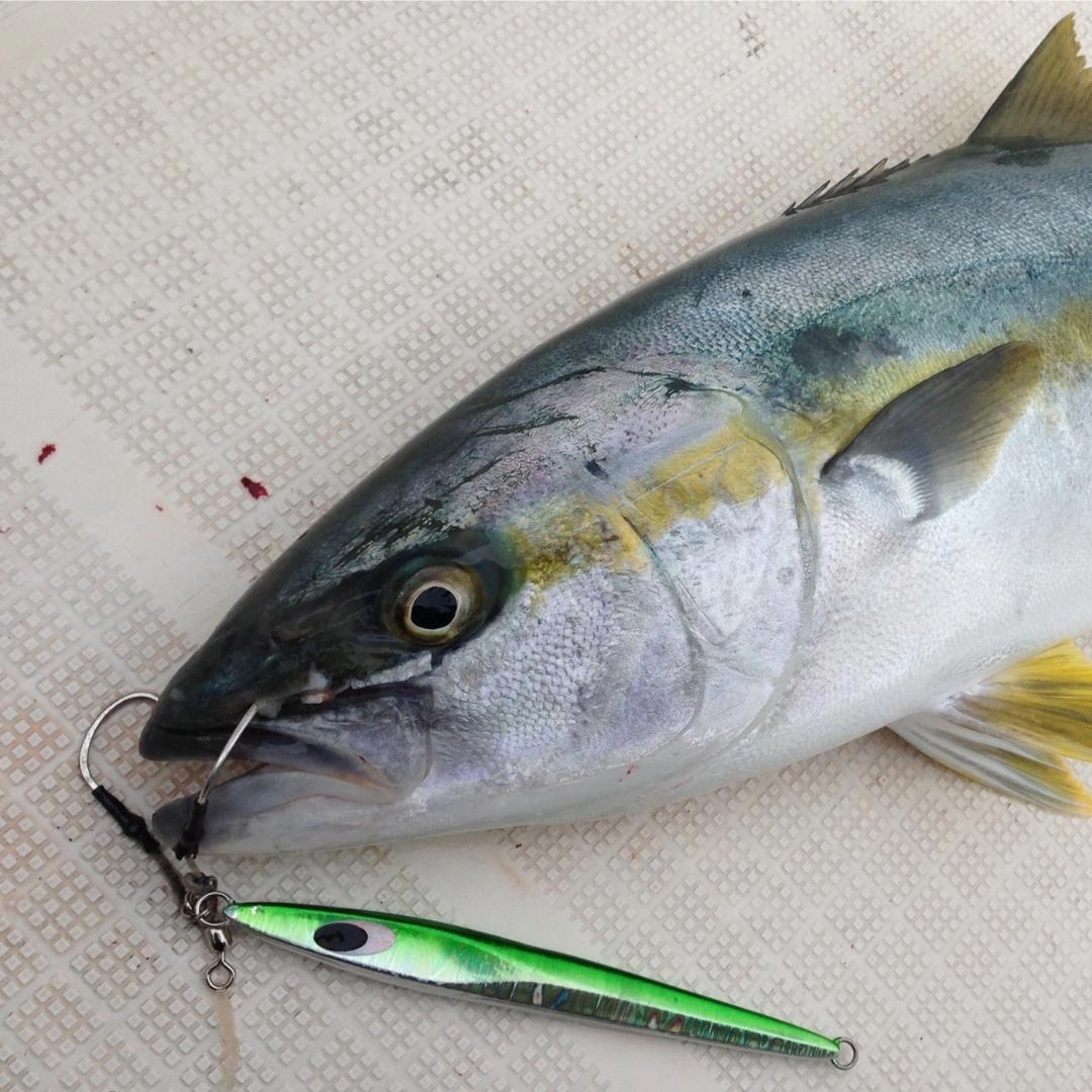 DECOY ASSIST HOOKS  DJ-88 Twin Pike