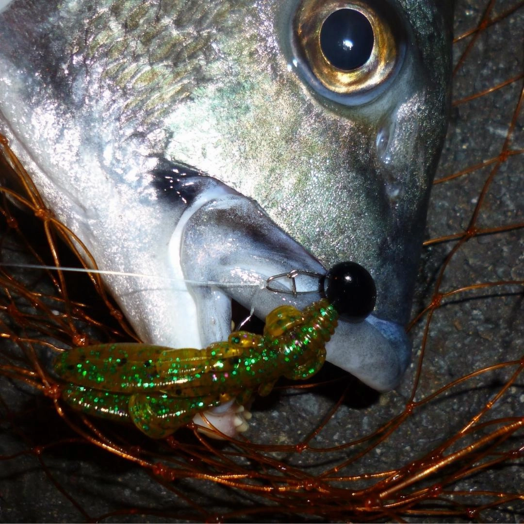 DECOY JIG HEADS SV-32 Tank Head