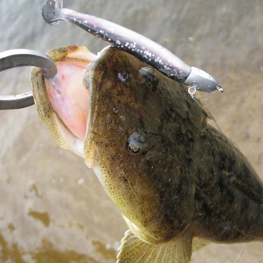 DECOY JIG HEADS SV-33 Pentagon Head