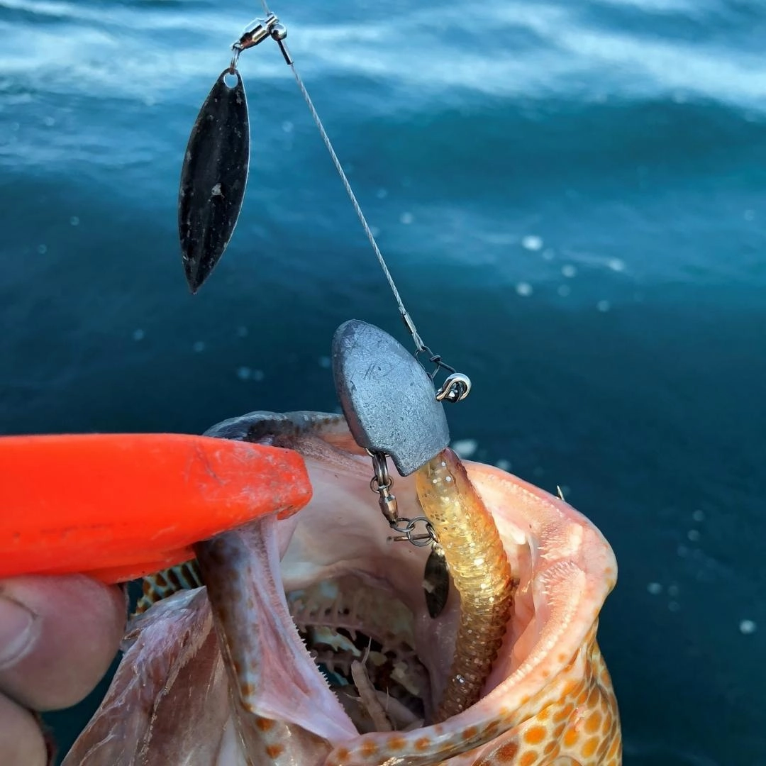 DECOY JIG HEADS SV-34H Salt Groove