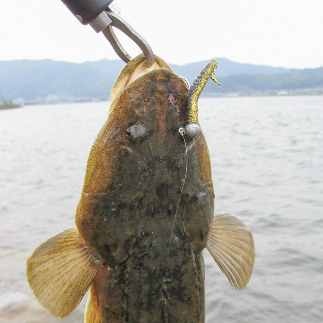 DECOY JIG HEADS SV-61 Violence Jigheads