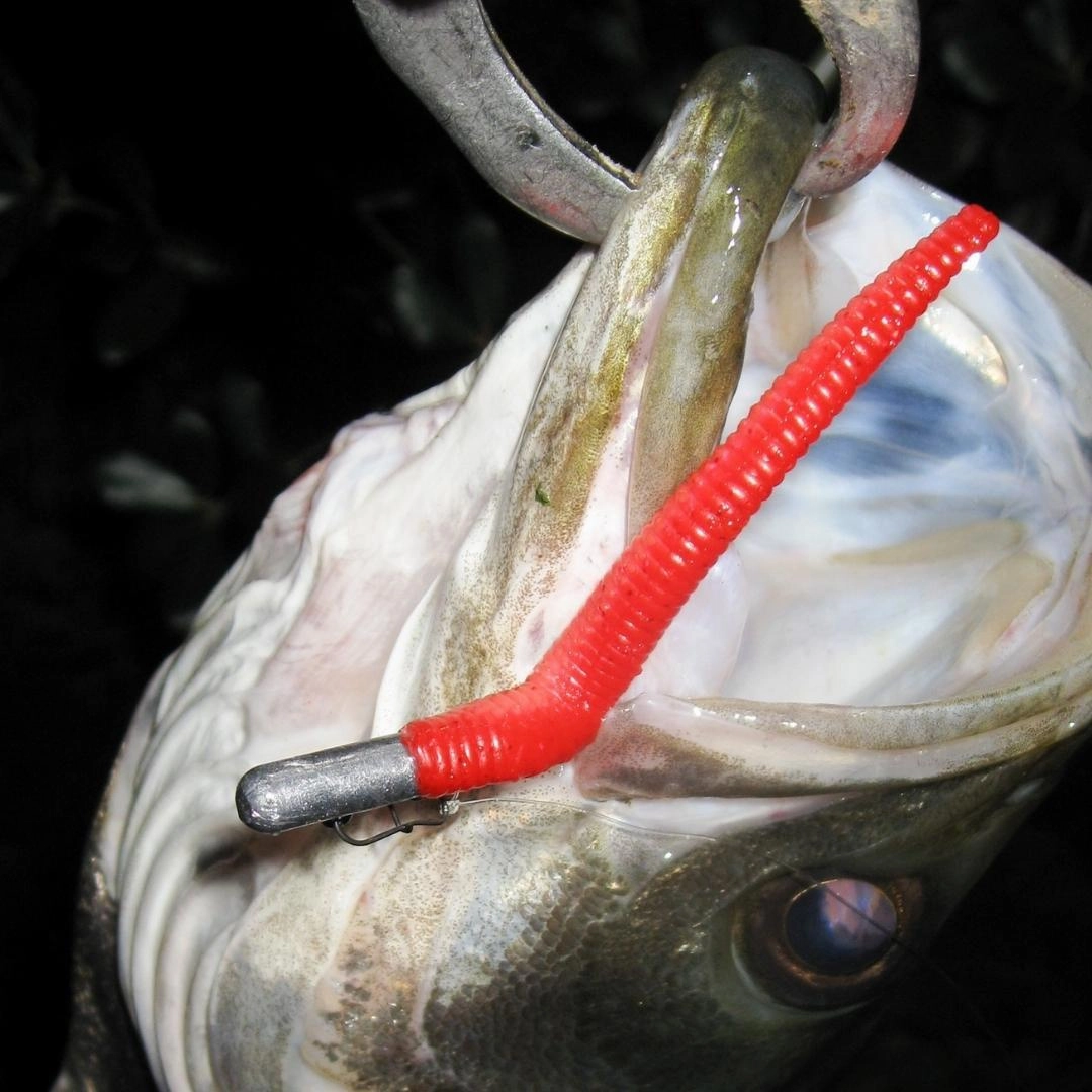 DECOY JIG HEADS SV-67 Bachi Head