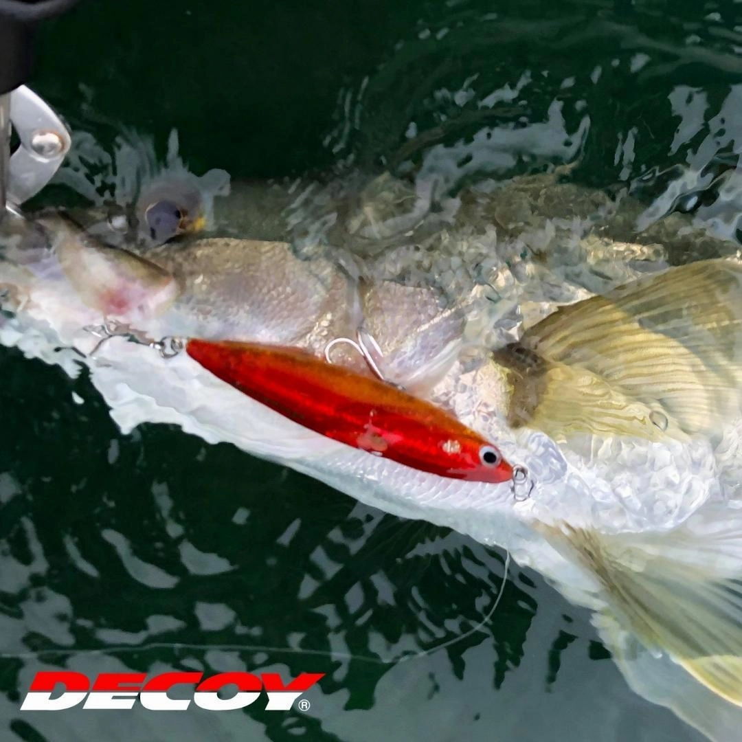 DECOY TREBLE HOOKS Y-S21 Treble Hooks