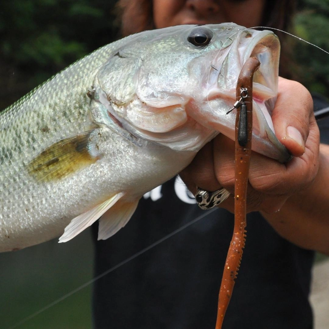 DECOY WEEDLESS HOOKS Worm217 Zero-Dan