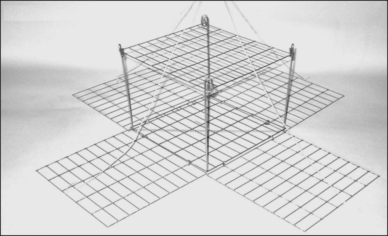 Foxy Mate Crab Traps