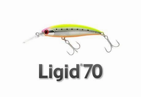 IMA Ligid 70