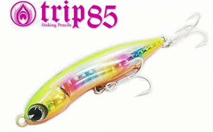 IMA Trip 85