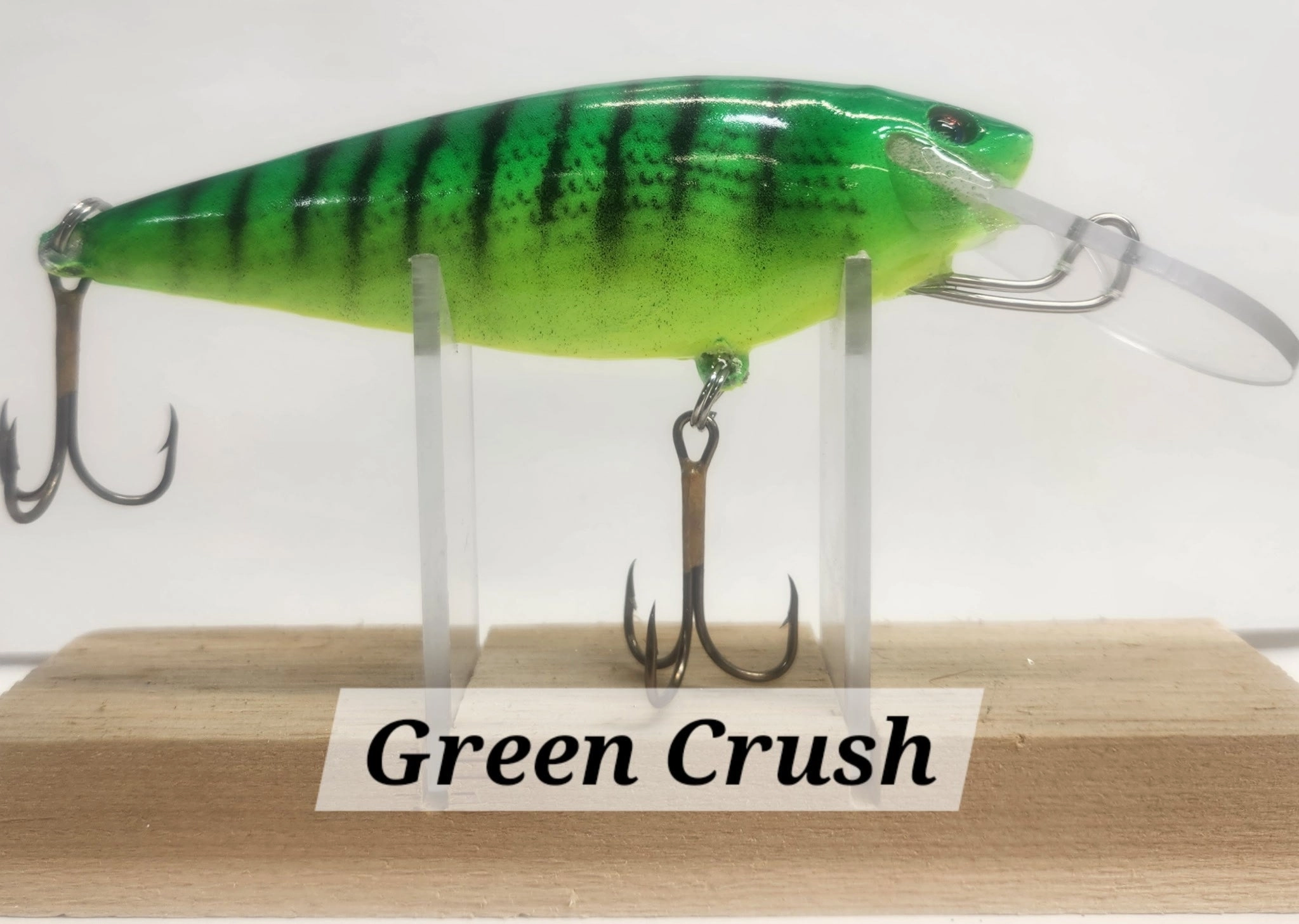 Muskie Train Bullet Train