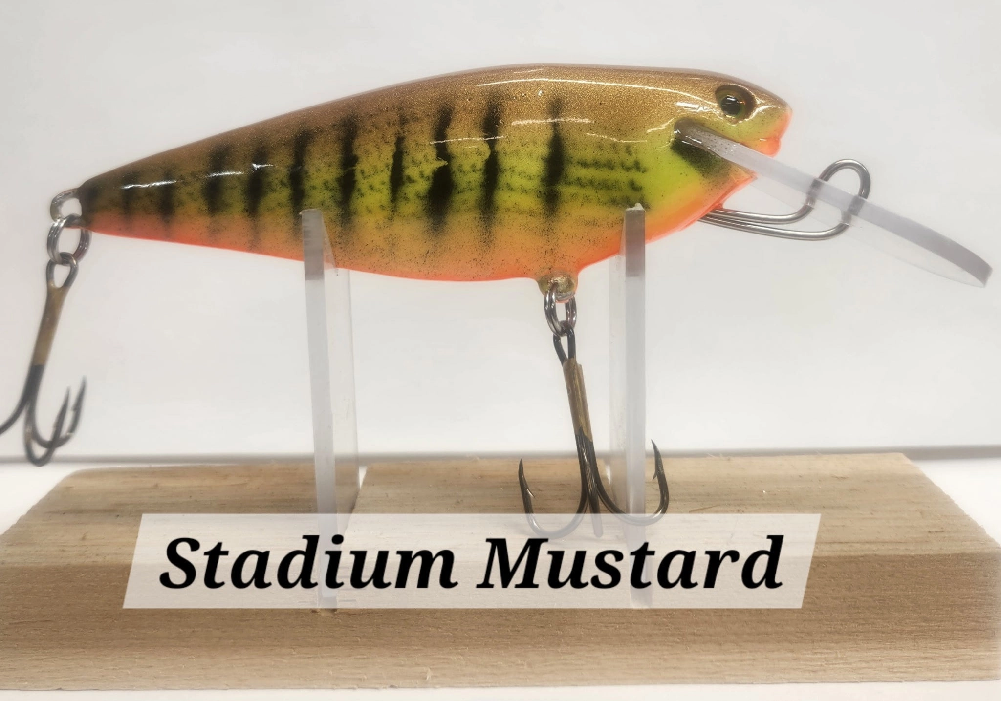 Muskie Train Bullet Train
