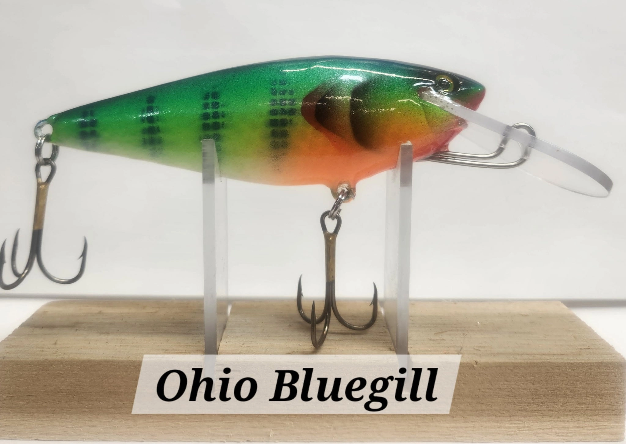 Muskie Train Bullet Train