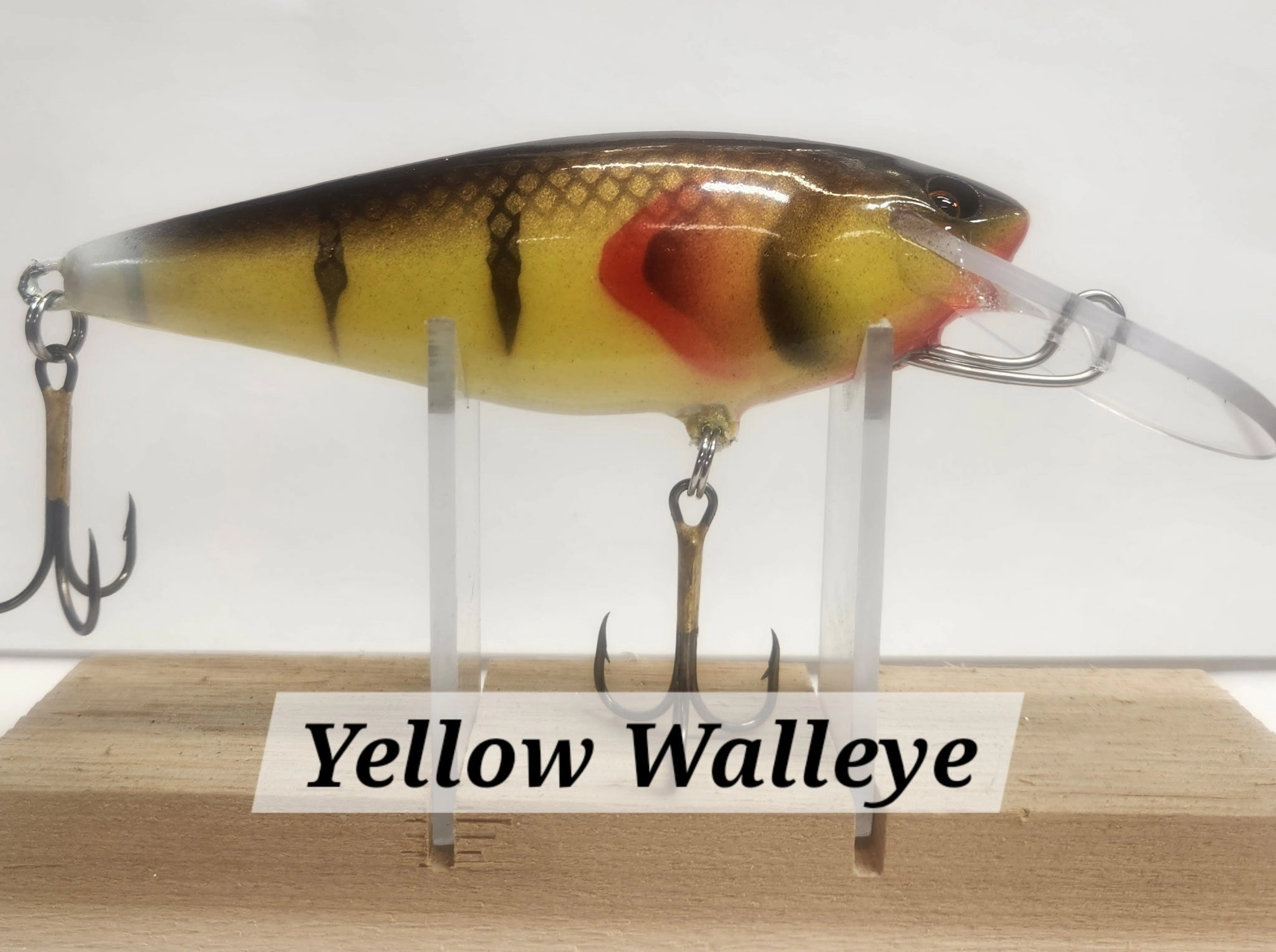 Muskie Train Bullet Train