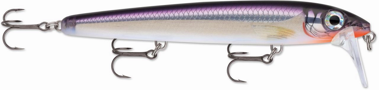 Rapala BX Waking Minnow