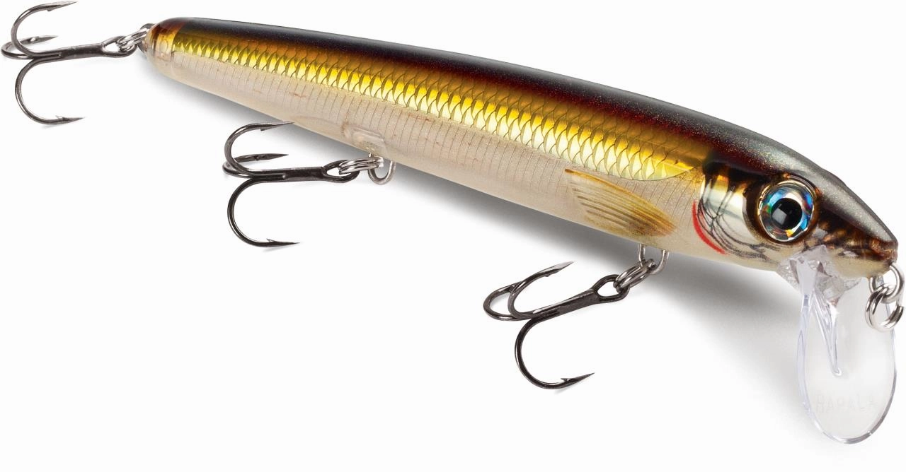 Rapala BX Waking Minnow