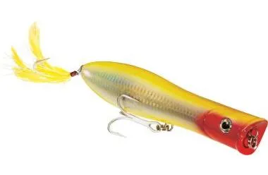 Tsunami XD Talkin' Popper Lures