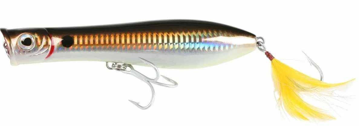 Tsunami XD Talkin' Popper Lures